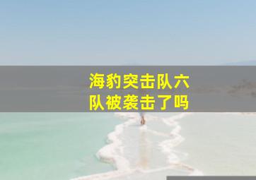 海豹突击队六队被袭击了吗