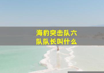 海豹突击队六队队长叫什么