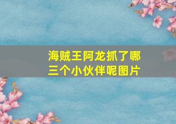 海贼王阿龙抓了哪三个小伙伴呢图片