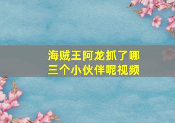 海贼王阿龙抓了哪三个小伙伴呢视频