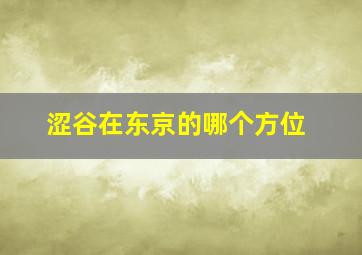 涩谷在东京的哪个方位