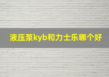 液压泵kyb和力士乐哪个好