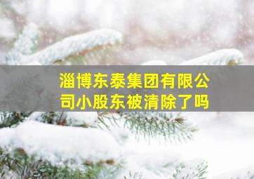 淄博东泰集团有限公司小股东被清除了吗