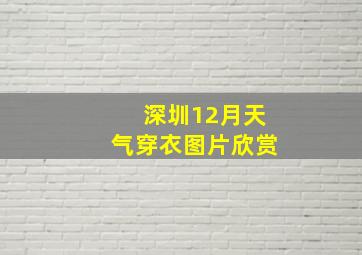 深圳12月天气穿衣图片欣赏