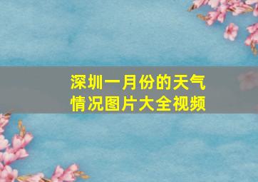 深圳一月份的天气情况图片大全视频