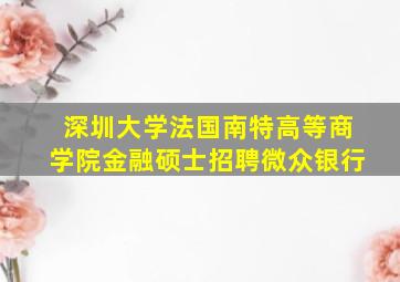 深圳大学法国南特高等商学院金融硕士招聘微众银行