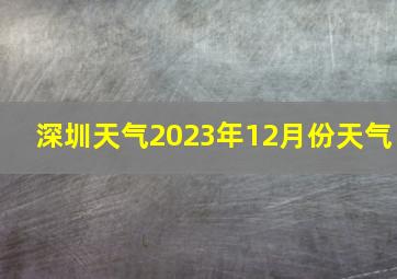 深圳天气2023年12月份天气