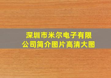 深圳市米尔电子有限公司简介图片高清大图