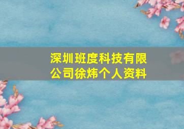 深圳班度科技有限公司徐炜个人资料