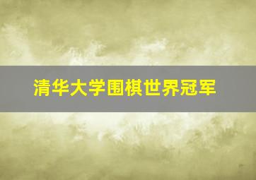 清华大学围棋世界冠军