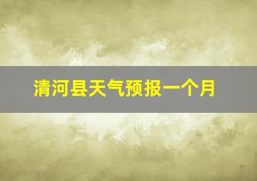 清河县天气预报一个月