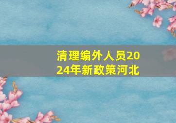 清理编外人员2024年新政策河北