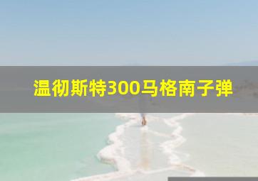 温彻斯特300马格南子弹