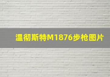 温彻斯特M1876步枪图片