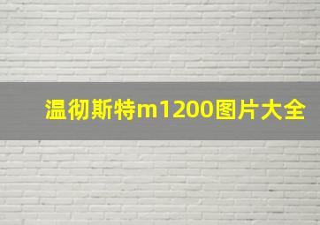 温彻斯特m1200图片大全