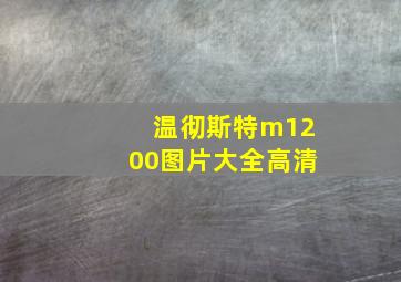 温彻斯特m1200图片大全高清