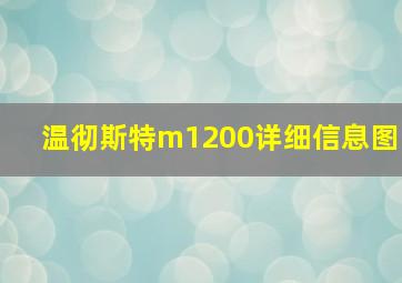 温彻斯特m1200详细信息图