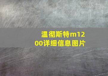 温彻斯特m1200详细信息图片