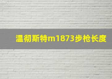 温彻斯特m1873步枪长度