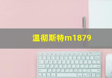 温彻斯特m1879