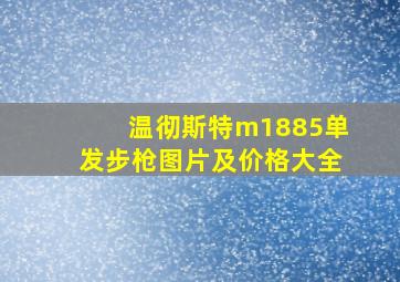 温彻斯特m1885单发步枪图片及价格大全