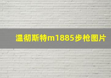 温彻斯特m1885步枪图片