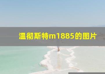 温彻斯特m1885的图片