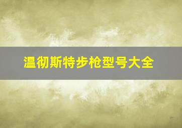 温彻斯特步枪型号大全