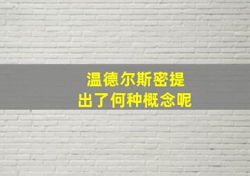 温德尔斯密提出了何种概念呢