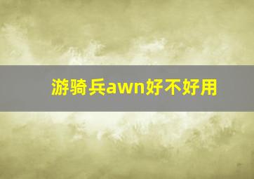 游骑兵awn好不好用