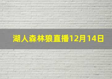 湖人森林狼直播12月14日