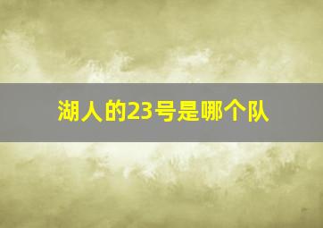 湖人的23号是哪个队