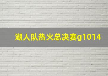 湖人队热火总决赛g1014