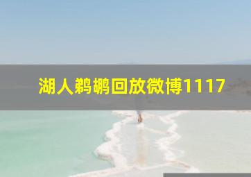 湖人鹈鹕回放微博1117