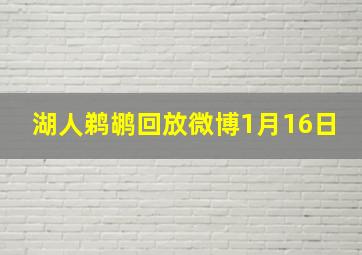 湖人鹈鹕回放微博1月16日