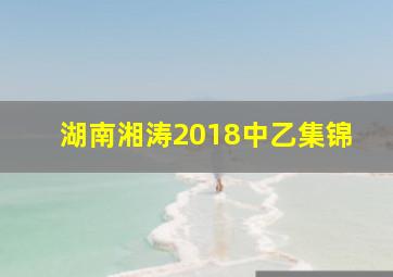 湖南湘涛2018中乙集锦