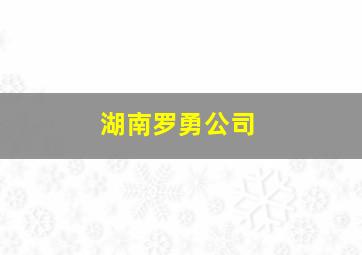 湖南罗勇公司