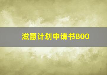 滋蕙计划申请书800