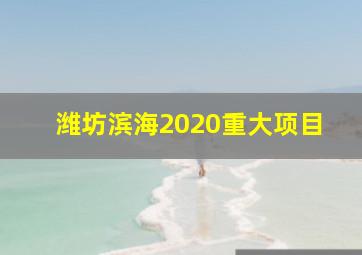 潍坊滨海2020重大项目