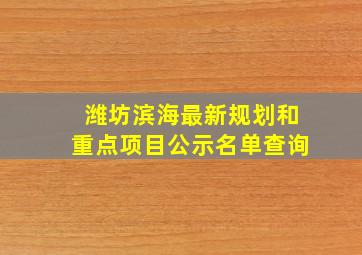 潍坊滨海最新规划和重点项目公示名单查询