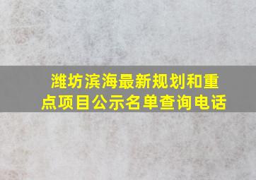 潍坊滨海最新规划和重点项目公示名单查询电话