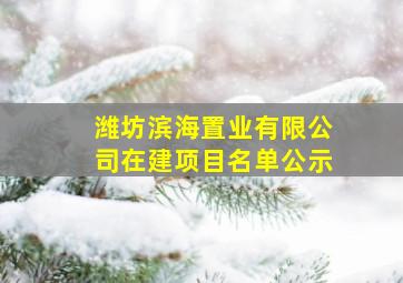 潍坊滨海置业有限公司在建项目名单公示