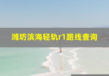 潍坊滨海轻轨r1路线查询