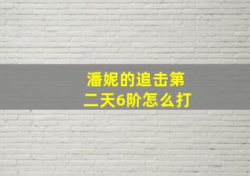 潘妮的追击第二天6阶怎么打