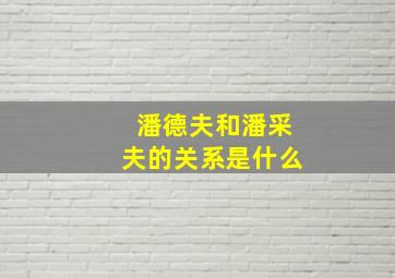 潘德夫和潘采夫的关系是什么