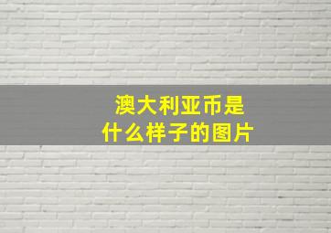 澳大利亚币是什么样子的图片