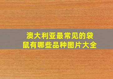 澳大利亚最常见的袋鼠有哪些品种图片大全