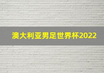 澳大利亚男足世界杯2022