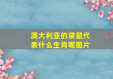 澳大利亚的袋鼠代表什么生肖呢图片