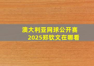 澳大利亚网球公开赛2025郑钦文在哪看